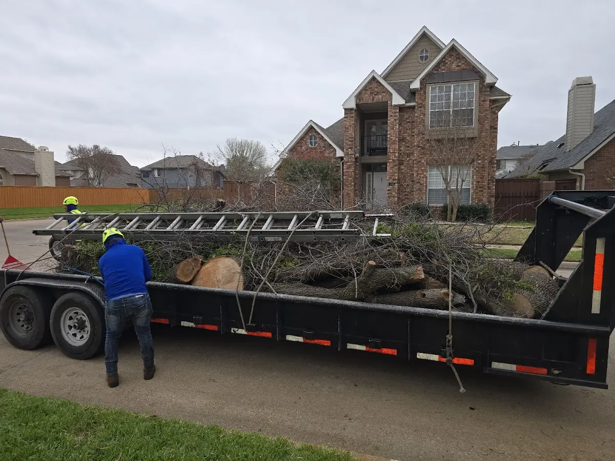 Expert Crown Reduction with proper safety equipment in Strausstown